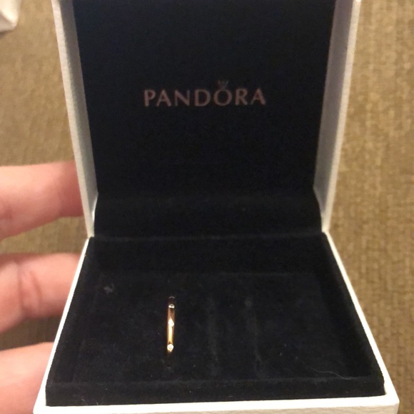 Pandora Rose Gold Band - Picture 4 of 9